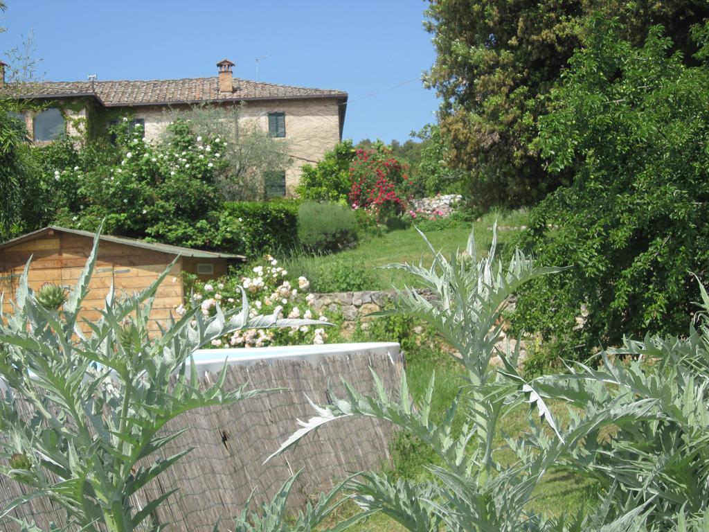 La Locaia Apartamento Siena Exterior foto